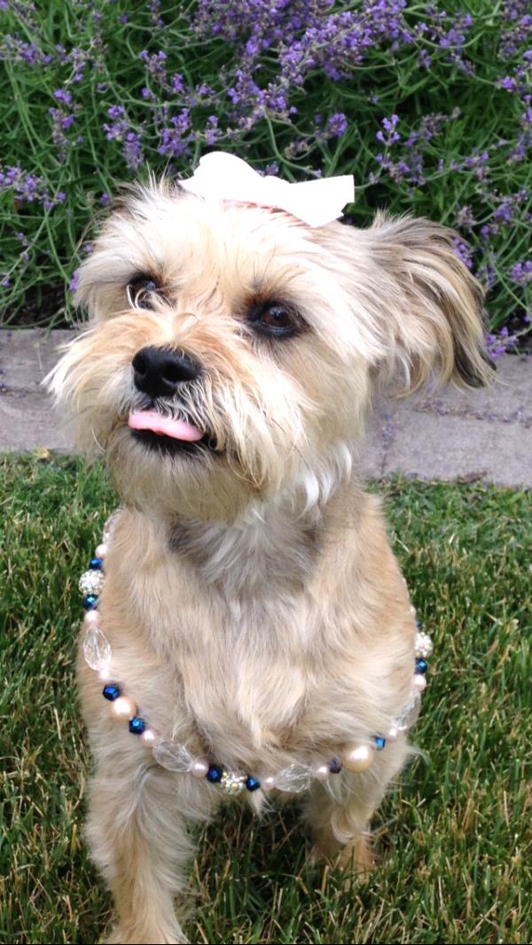 /Images/uploads/Humane Society of Utah/HSUCalendar/entries/1070thumb.jpg